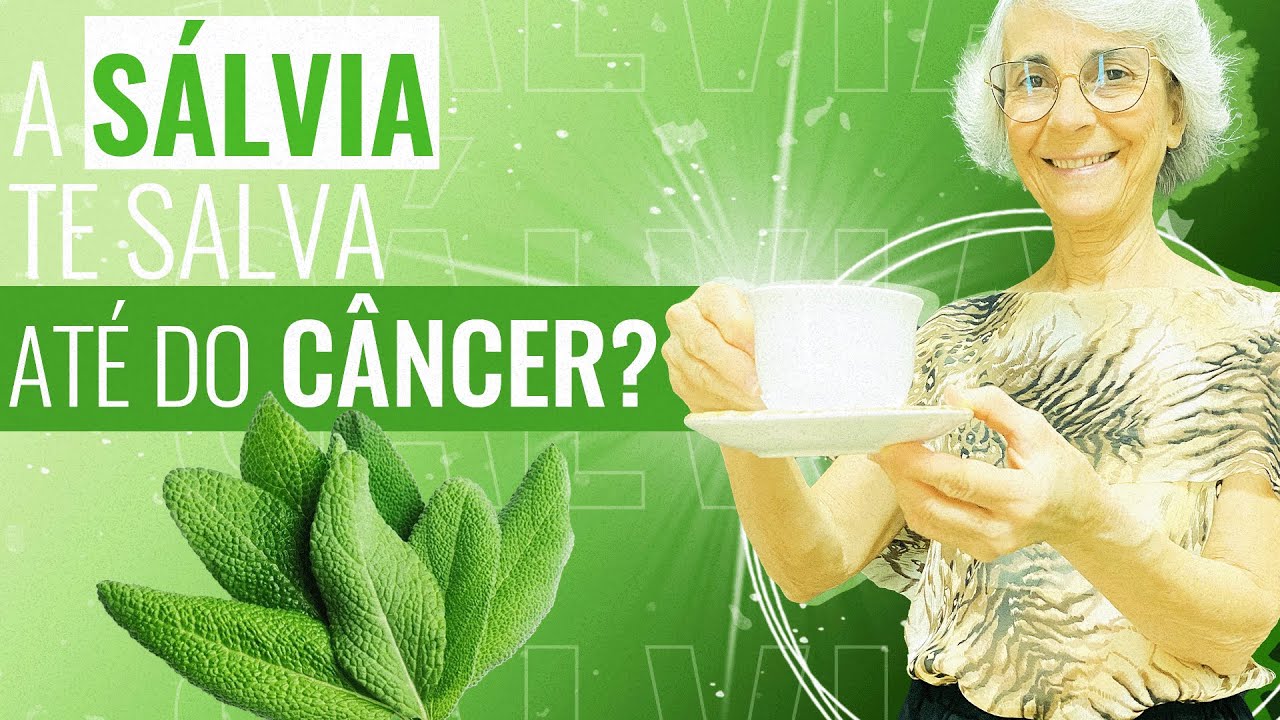 Use sálvia: para os ossos, diabetes, fadiga, menopausa