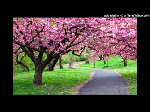 Aleksander Gjoka - A Do Të Vish