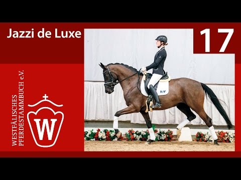 17 Jazzi de Luxe Stute v. Jazzmate - Ehrenpreis
