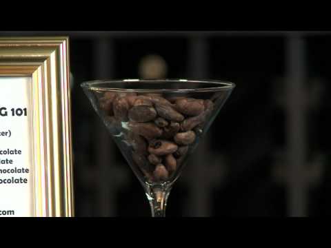 Chocolate Tasting 101 Boston video with Craig Sutton