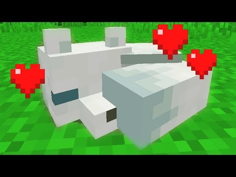I got a white fox in minecraft (really rare)