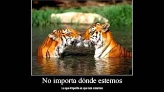 DIME SI NO ES VERDAD