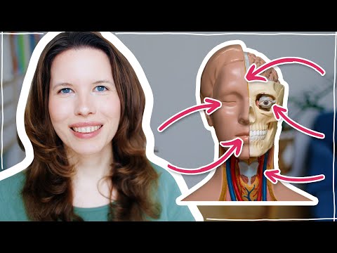 Deutsch beim Arzt: Körperteile & Krankheiten (B2, C1, C2)