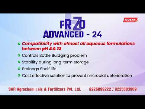 Prezo Advance-24