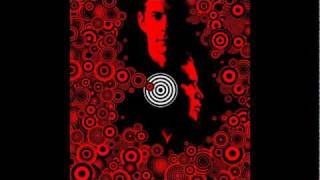 Thievery Corporation - The Heart&#39;s A Lonely Hunter ( ft. David Byrne )