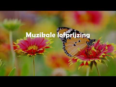 Opwekking met tekst 540 Kom laten wij aanbidden (versie 2)