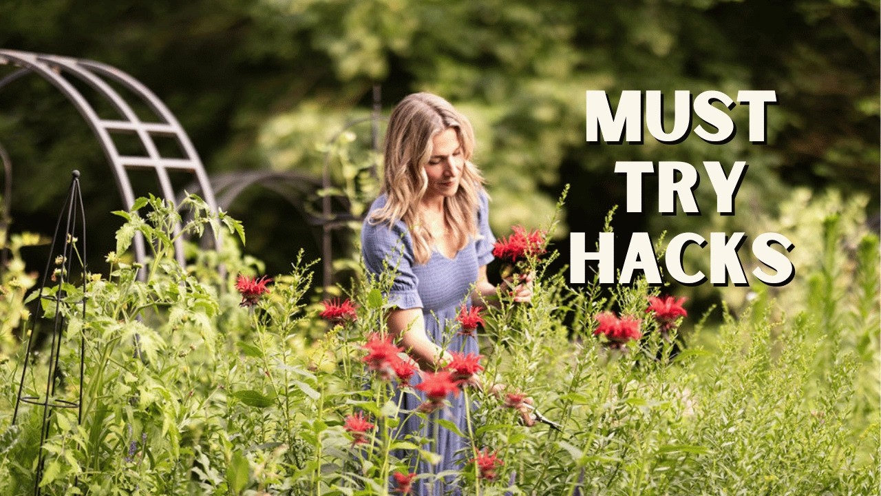 4 Essential Garden Design Elements to Create a More Magical Garden