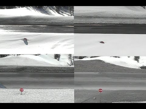 Wyoming Stop Sign Finally Liberated from Snow in June