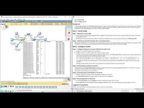 PKT 6.2.2.4 - Configuring Trunks