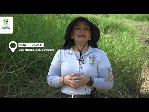 Refuerzo agrícola en Paquisha y Panguintza: drenajes mejoran 620 hectáreas