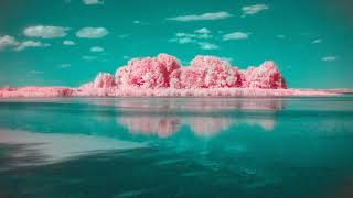 Liv Dawson- Tapestry