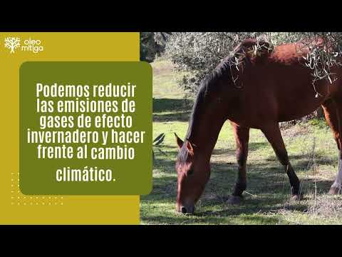 ¡Tu voz importa! Ayúdanos a construir una agricultura más sostenible 🌱 - Formulario Productores/as