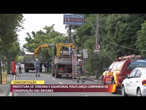 Autoridades alertam para acidentes elétricos devido a falta de poda de árvores 21 05 2021