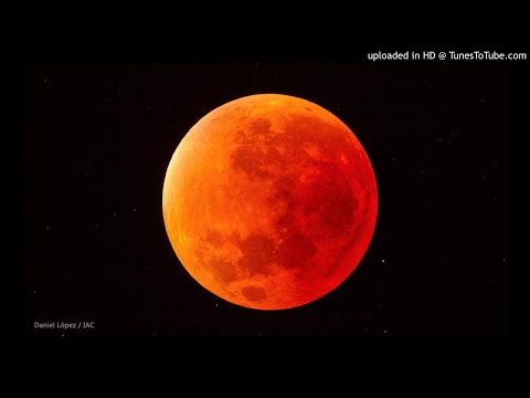 DK9, El Virtual - Mirando a la luna (FREESTYLE) (2019)