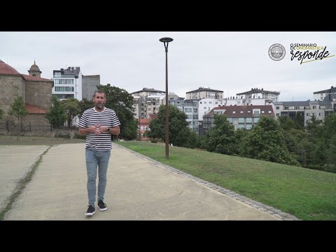Vídeo: Monelos