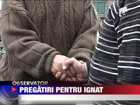 Targuri de animale de Craciun 11 DECEMBRIE 2011