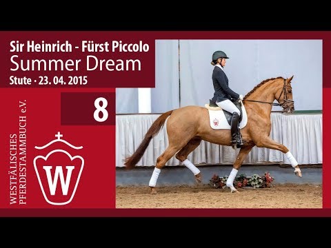 08 Summer Dream Stute v. Sir Heinrich - Fürst Piccolo