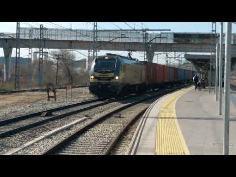 Locomotora Medway 256-204 con Teco MSC, W.E.C.Lines en Vicalvaro.11/2/2025.