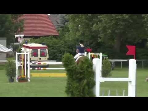 Shadow Springpferde L Ilsfeld