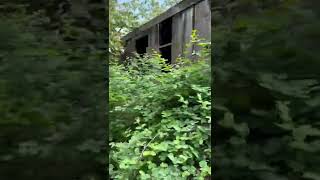 Waterwheel Oregon Trail #oregon #waterwheel #oregontrail #travel #explore