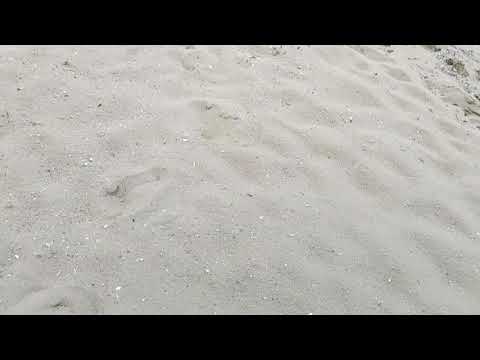 25 września 2020(4)