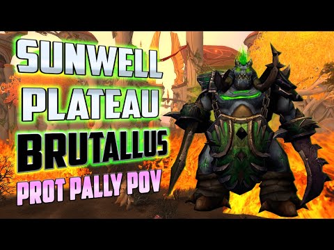 Brutallus First Kill Prot Paladin POV - TBC Classic