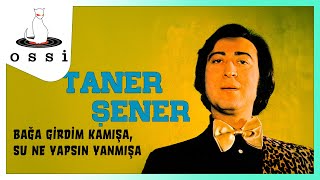 Taner Şener / Bağa Girdim Kamışa, Su Ne Yapsın Yanmışa