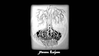 Download lagu Turdus Merula - Adventus mp3