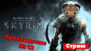 Стрим The Elder Scrolls V: Skyrim , Теплый и ламповый! =) #12