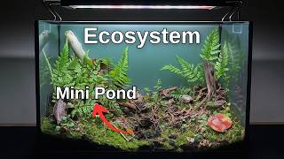 I Made an Ecosystem With a Mini Pond Inside! Here's How! | How To Make a Terrarium