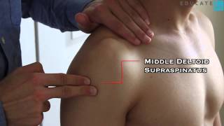 Thử cơ bằng tay: Dạng Vai