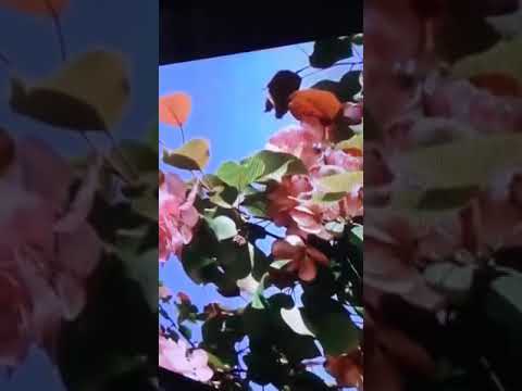 Duga zhasau meditaciya