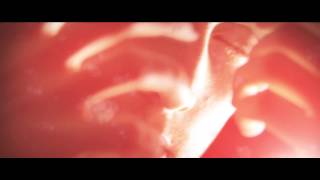 Ball Park Music - Literally Baby (Official Video)