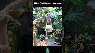 Download lagu Parrot Teams Portable Carrier Bag mp3