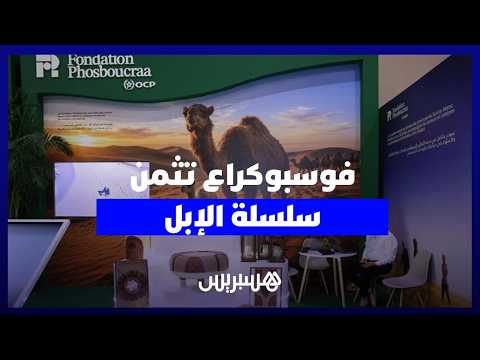 فوسبوكراع تثمن سلسلة الإبل 