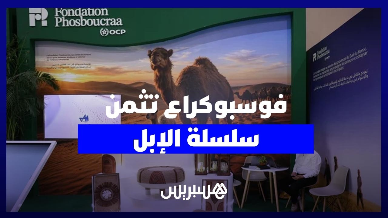 "فوسبوكراع" تثمّن بـ"سيام 2026" سلسلة الإبل رافعة تنموية بأقاليم الصحراء thumbnail