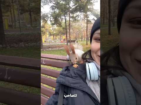 اغرب صداقة بين انسان وسنجابة😍👀