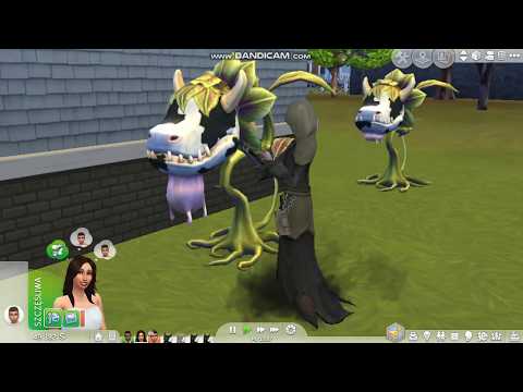 mój błąd...I wyzwanie czarna wdowa odc.25 I   Ola Wolna