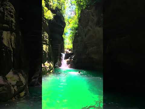 Fuente del jaguar san francisco jujuy argentina de 💦🌿💧🍀✨️🍁☀️🪾