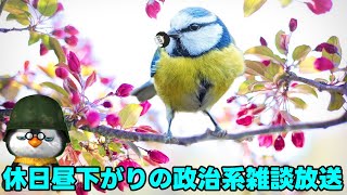 【雑談放送】ペンギン閣下、休日昼下がりの政治雑談【政治系雑談放送】