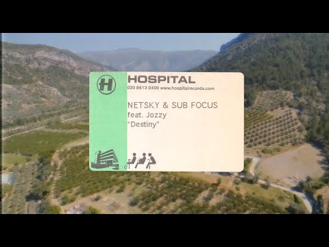 Netsky & Sub Focus - Destiny (feat. Jozzy)