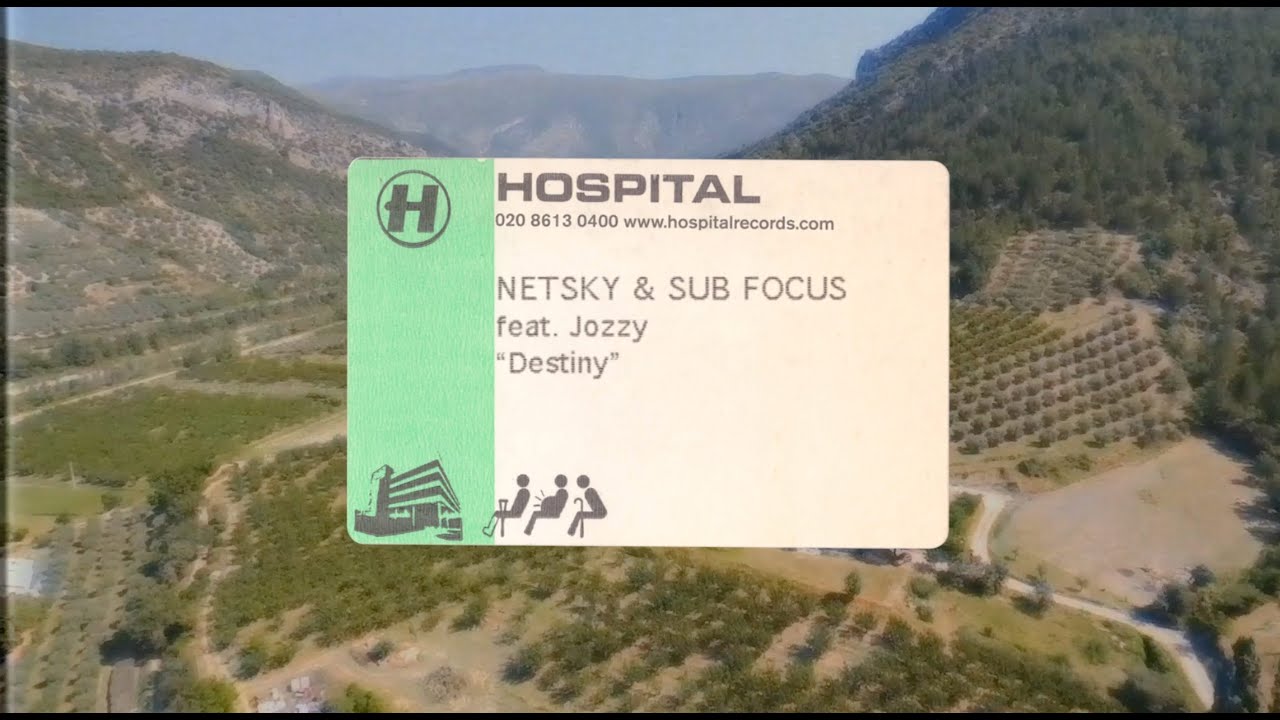 Netsky & Sub Focus - Destiny (feat. Jozzy)