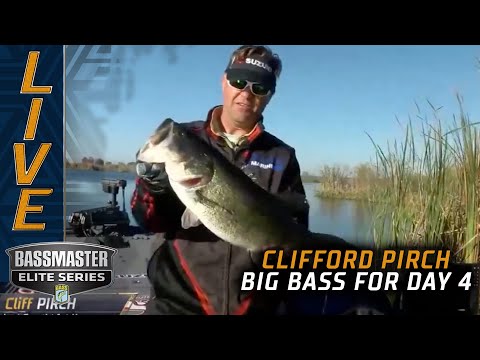 Harris Chain: Clifford Pirch trying to make a comeback with big fish