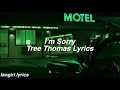 I'm Sorry || Tree thomas Lyrics