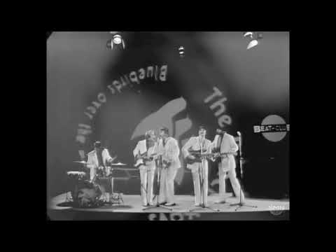 The Beach Boys- Bluebirds Over The Mountain 1968