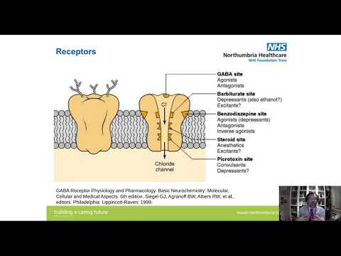 Designer benzodiazepines and pregabalin  A lethal combination