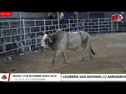 FIESTAS PATRONALES - SANTA LUCIA 2025