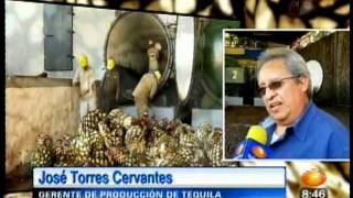 preview picture of video 'Reportaje Tequila 1 Noticias Panamericanos 2011'