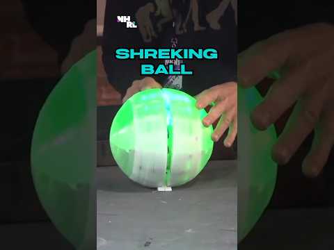 The weirdest robots you’ll ever see