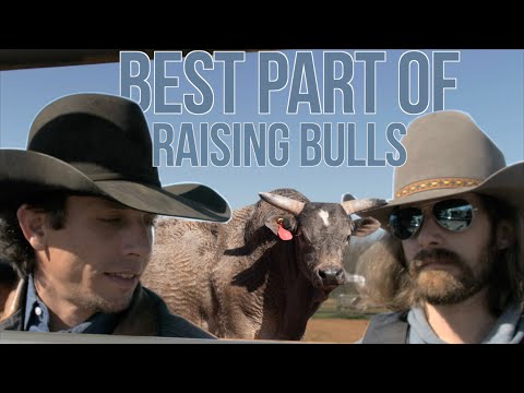 Best part of raising bucking bulls with JB Mauney